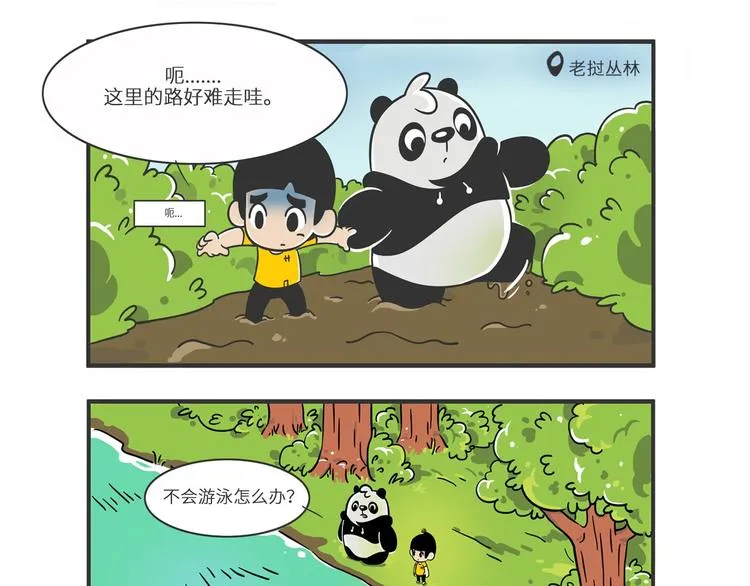 熊猫君和王稳健漫画,明日之星“达米尔”2图