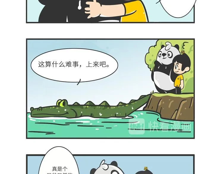熊猫君和王稳健漫画,明日之星“达米尔”5图
