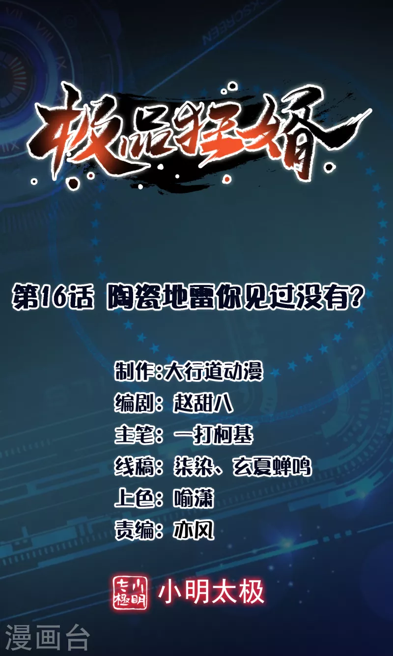 极品狂婿叶辰燕雨晴小说漫画,第16话 陶瓷地雷你见过没有？1图