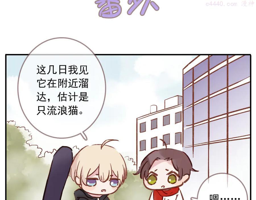 归零歌词林忆莲漫画,番外 请当我的猫！3图