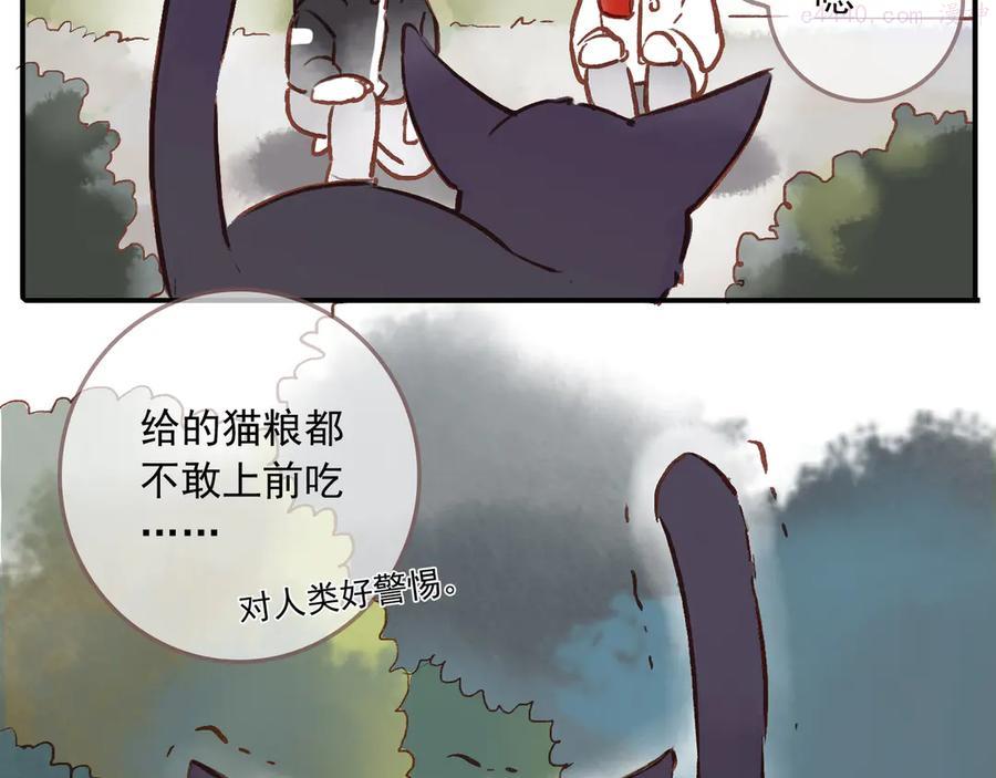 归零歌词林忆莲漫画,番外 请当我的猫！4图