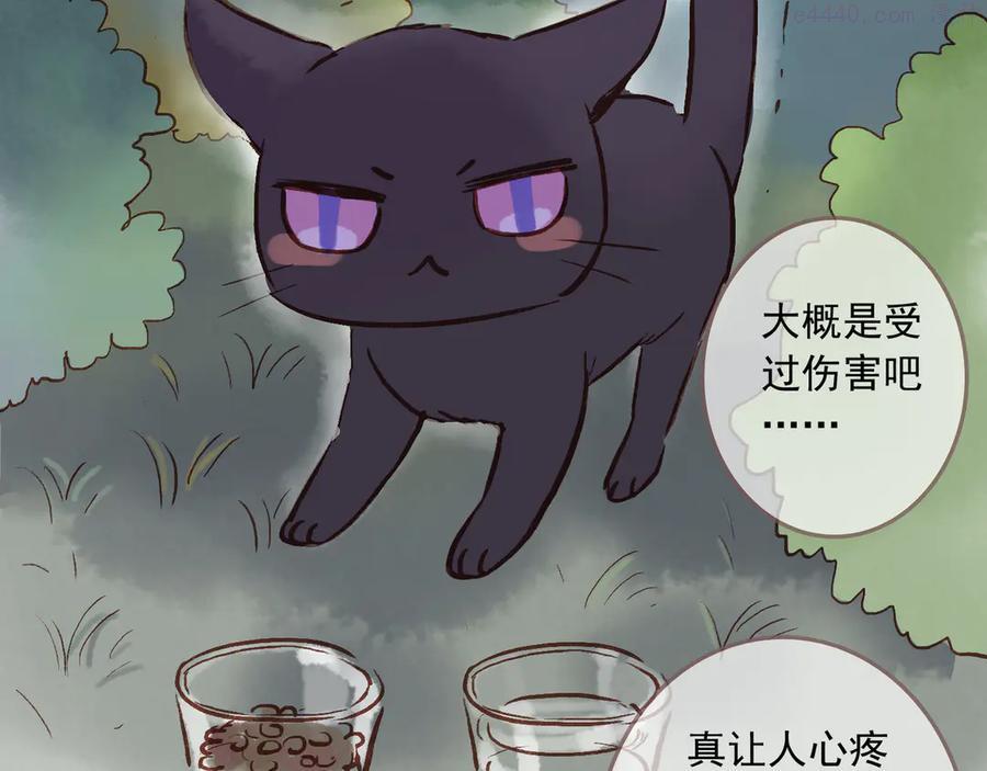 归零歌词林忆莲漫画,番外 请当我的猫！5图