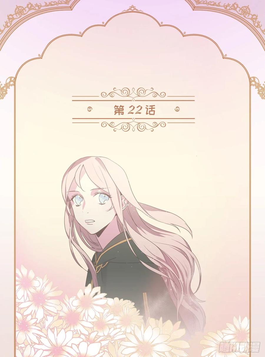 琪拉的美男图鉴170漫画,22.公开行刑2图
