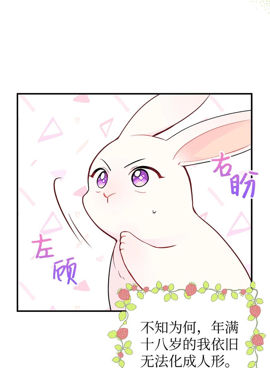 兔子与黑豹的共生关系全集解说漫画,02 可怕的黑豹3图