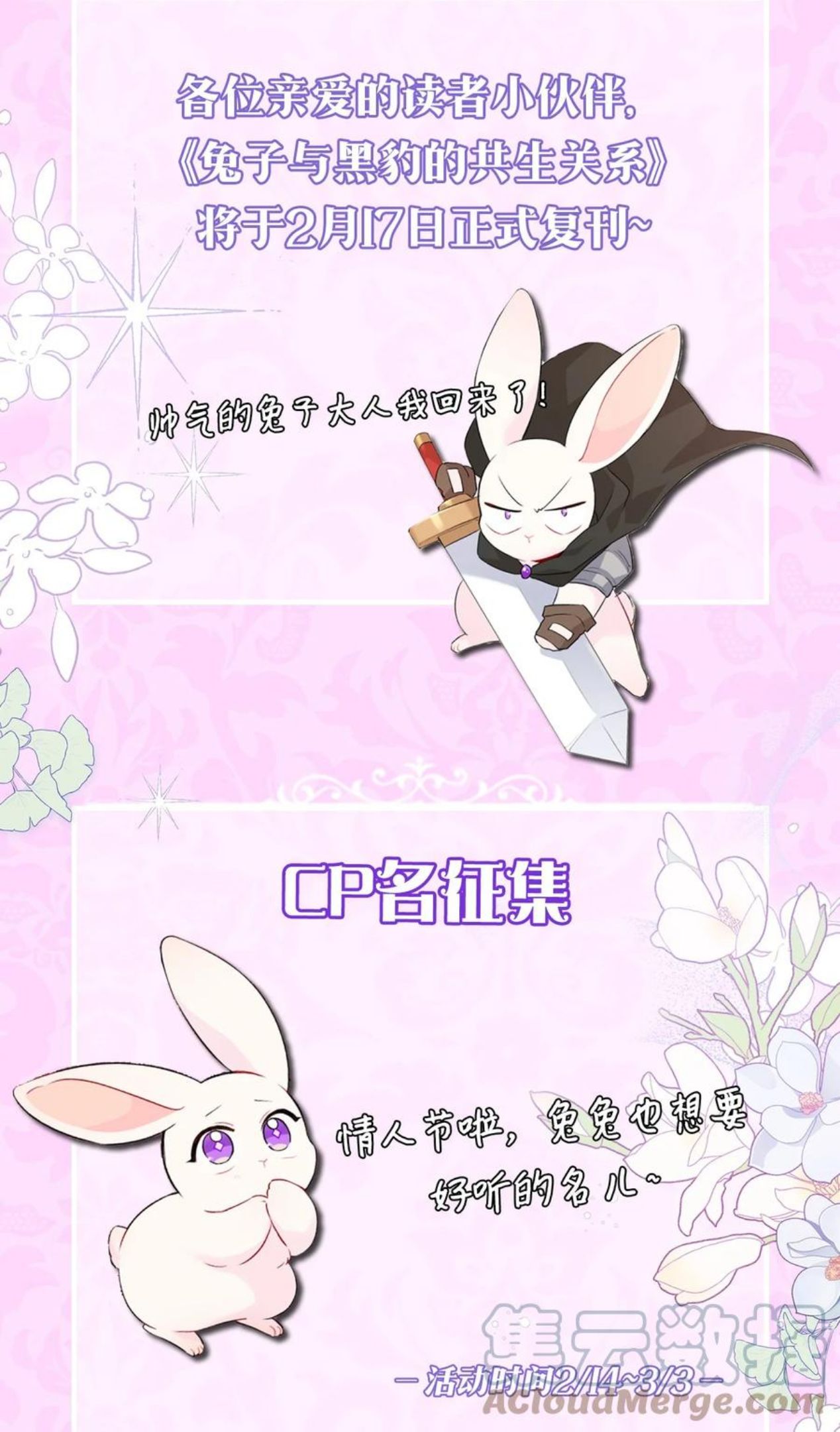 兔子与黑豹的共生关系小说免费阅读漫画,复刊活动 情人节征集CP名啦2图
