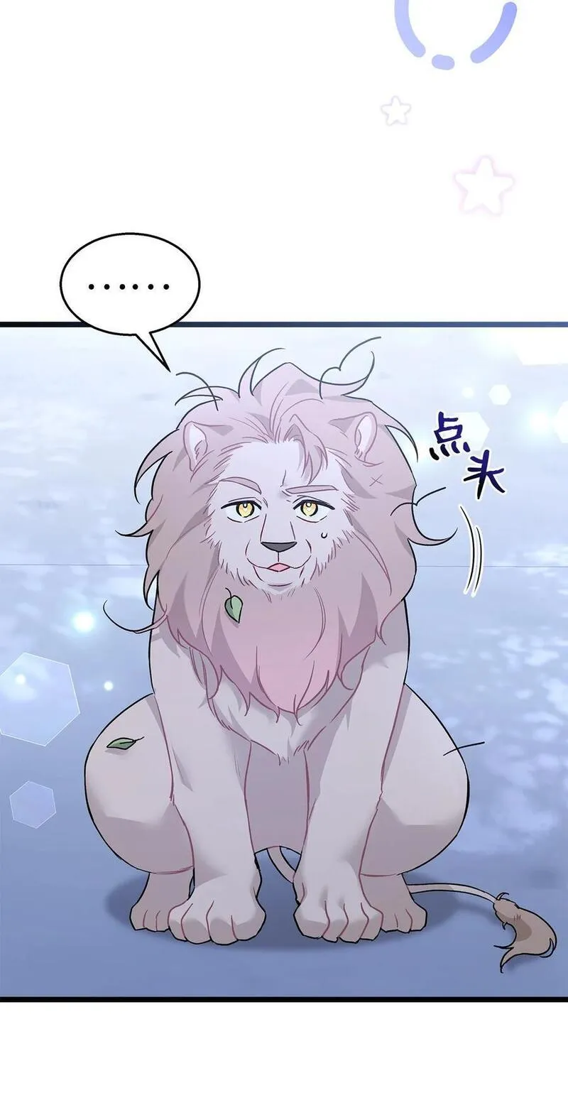 兔子与黑豹的共生关系全集解说漫画,107 狮子的求偶舞3图
