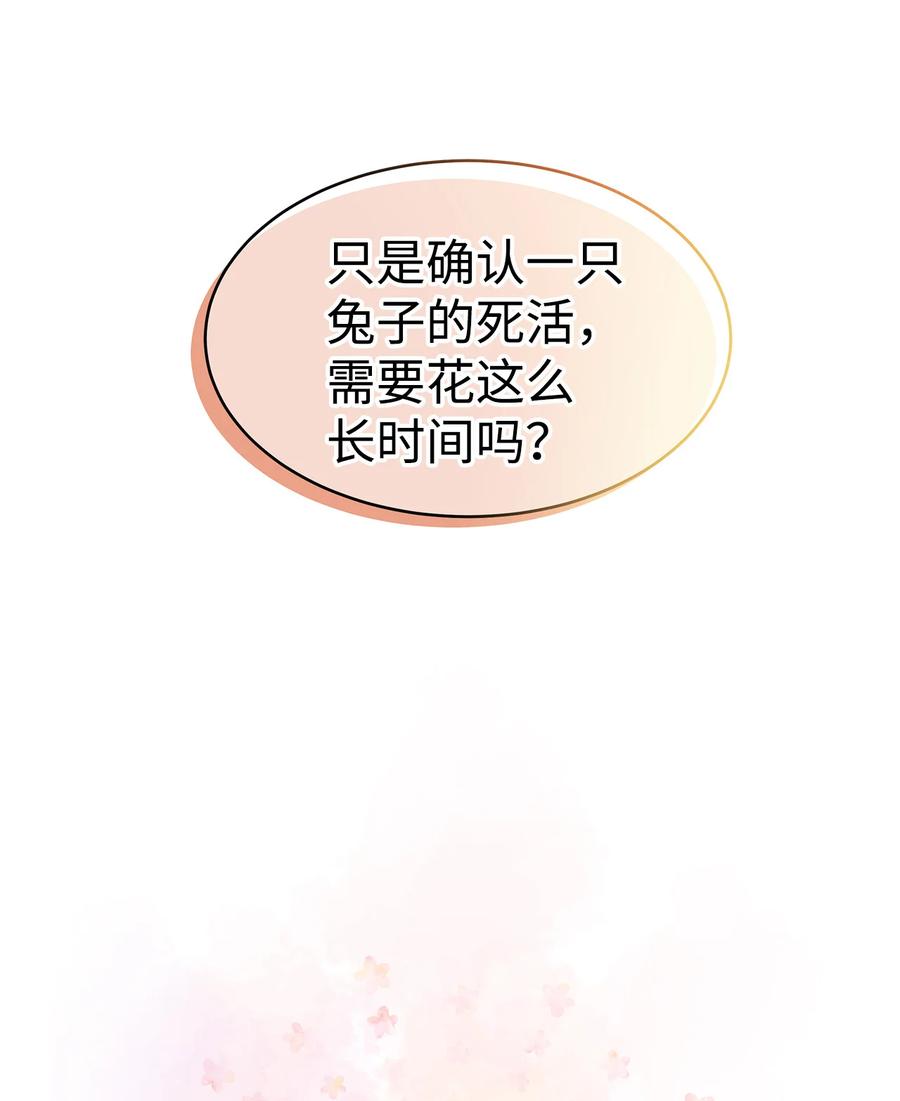 兔子与黑豹的共生关系全集解说漫画,12 兔兔的身世4图