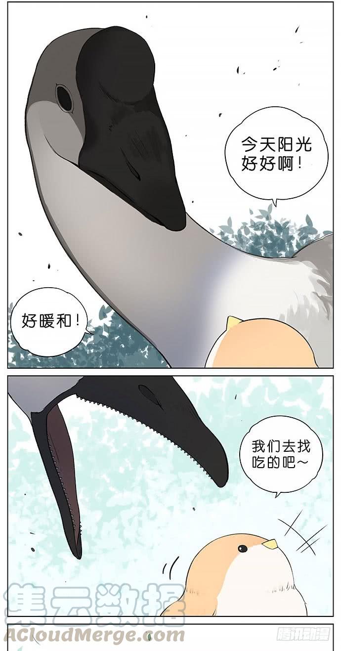 南方的鸟和北方的鸟壁纸漫画,鸭子和鹅。3图