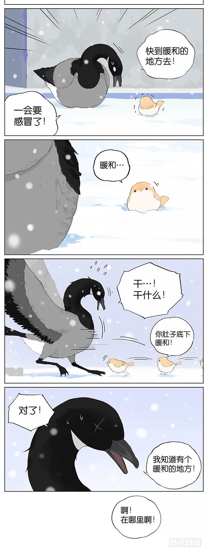 南方的鸟和北方的鸟作者漫画,下雪天的鸟。2图