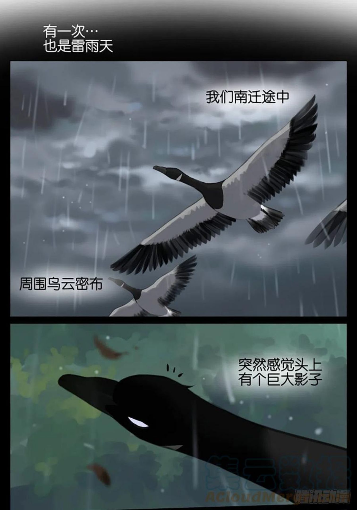 南方的蟑螂漫画,雷雨天的鸟5图