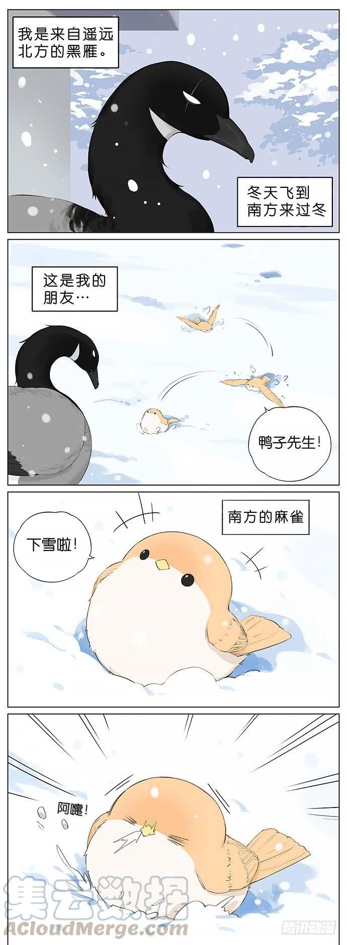 南方的鸟和北方的鸟作者漫画,下雪天的鸟。1图