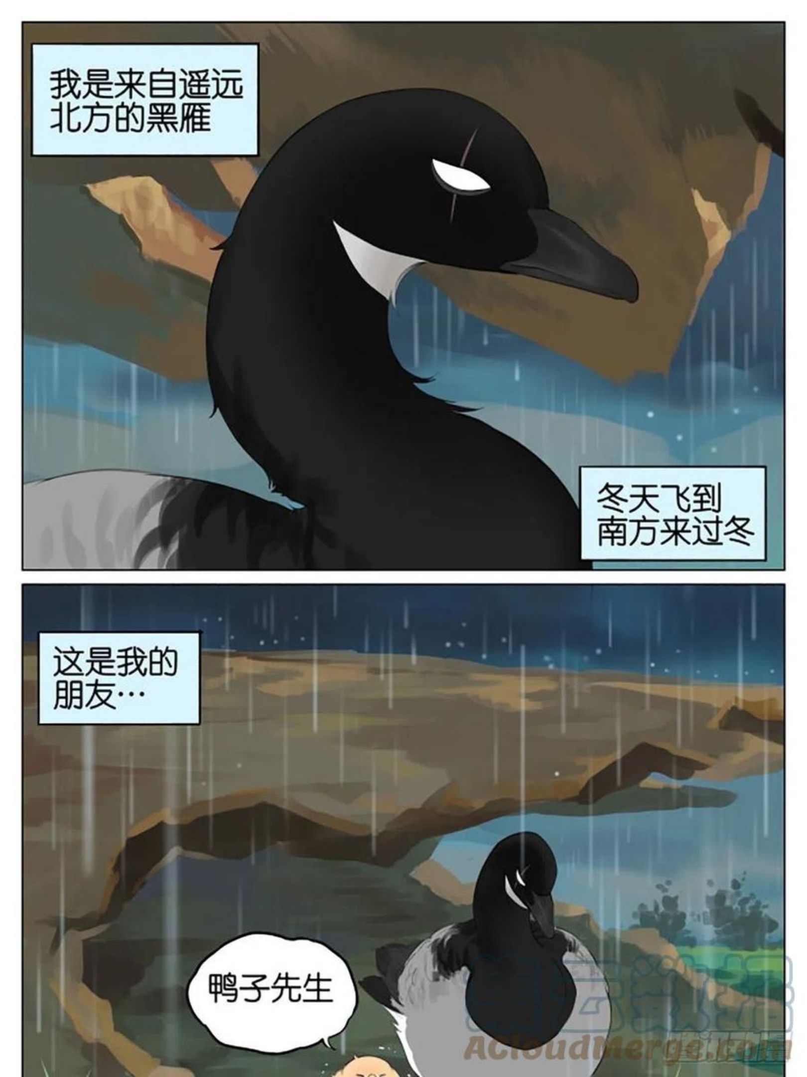 南方的蟑螂漫画,雷雨天的鸟1图
