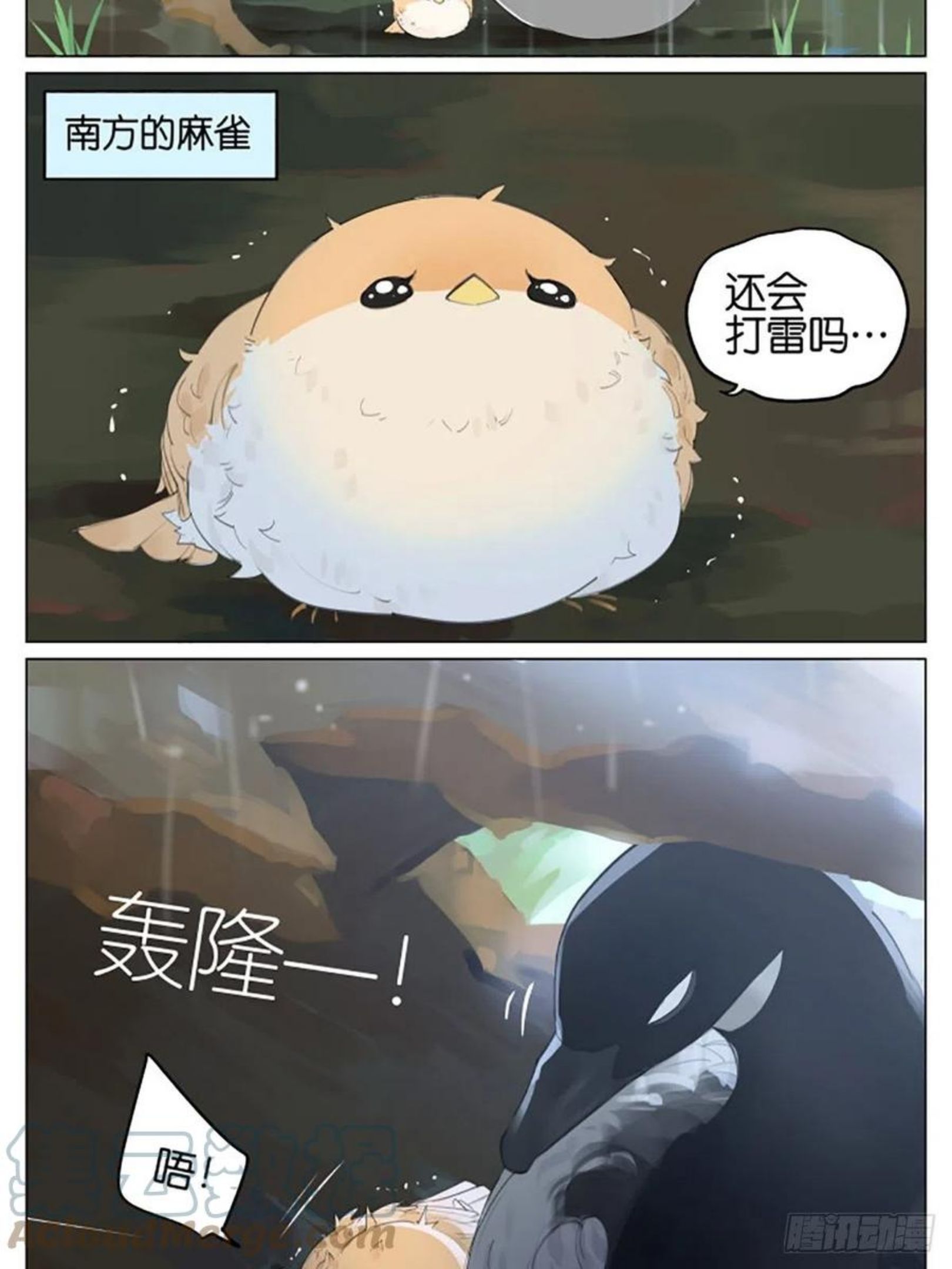 南方的蟑螂漫画,雷雨天的鸟2图