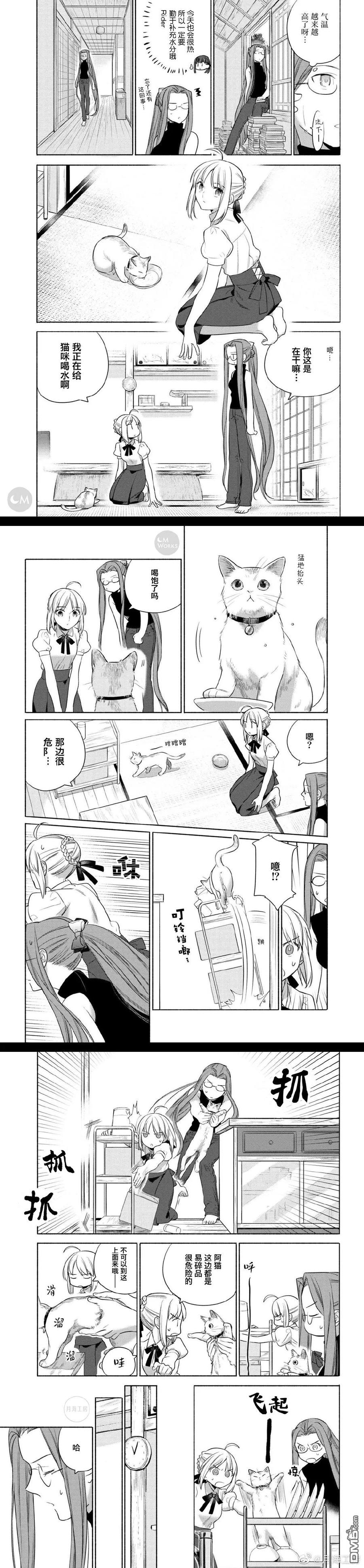 卫宫家今天的饭在线观看国语漫画,025 撕下来，放上去，简便的沙拉盖饭4图