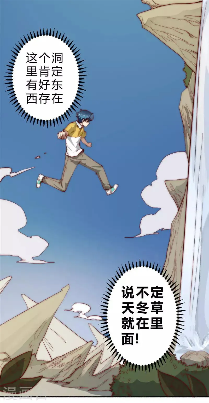 最强妖孽叶凡免费阅读漫画,第73话 得到收灵草了！2图