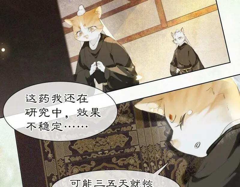 紫禁御喵房什么时候播漫画,第37话 腹黑喵的真相2图