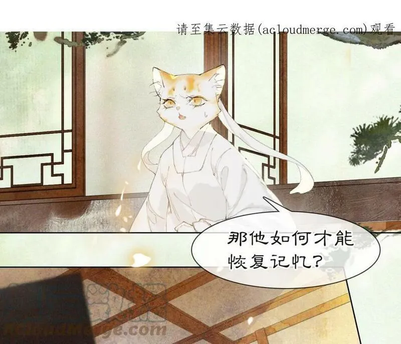 紫禁御喵房什么时候播漫画,第37话 腹黑喵的真相1图