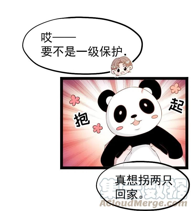 神级渔夫萧鹏漫画,第289话 免费熊猫抱不得！3图