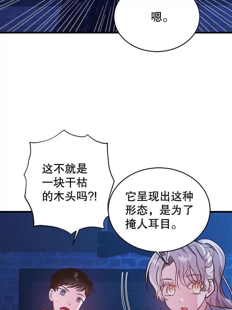 龙宝宝出生报喜朋友圈漫画,70.龙木2图