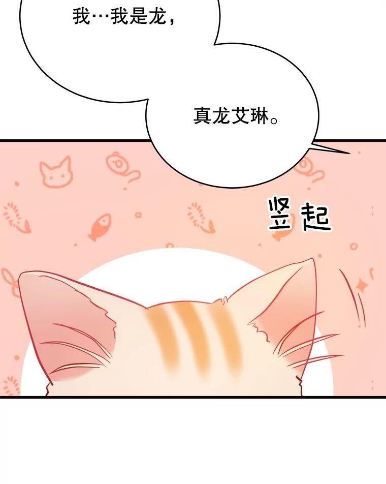 龙宝宝名字漫画,41.狩猎大会4图