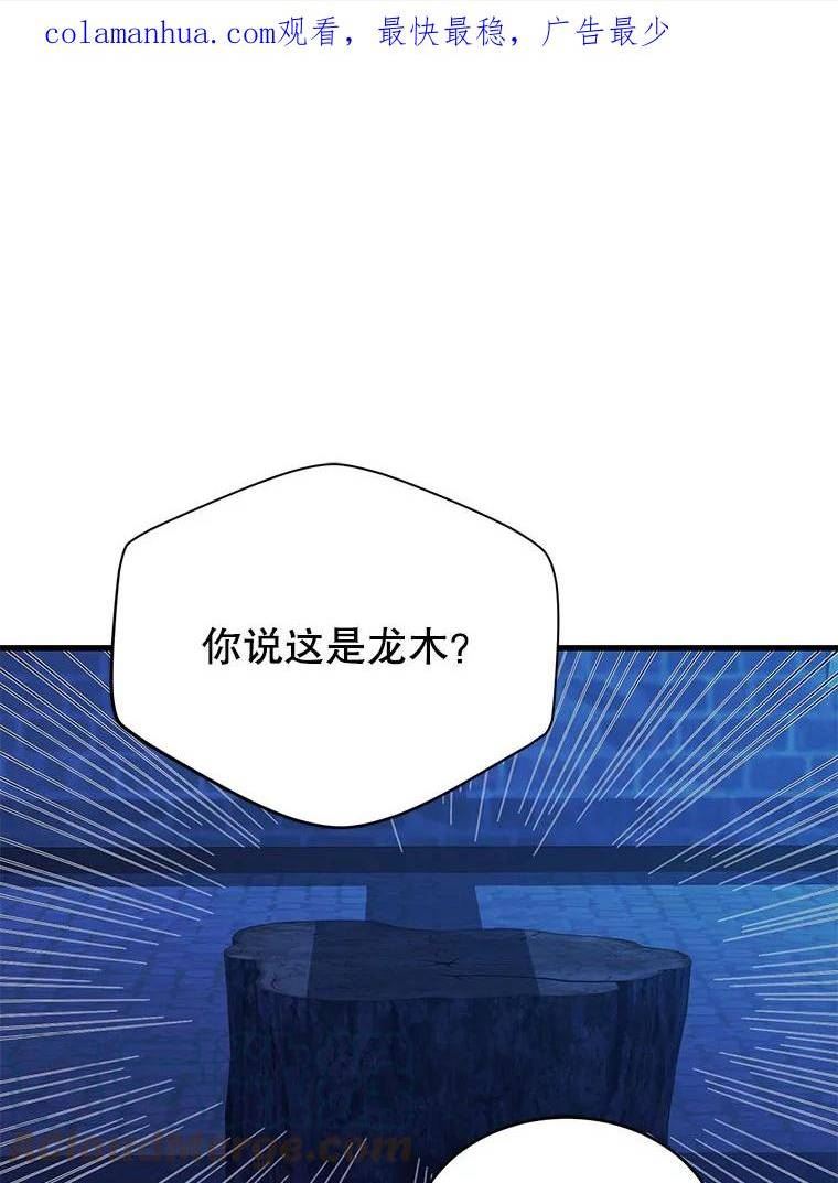 龙宝宝出生报喜朋友圈漫画,70.龙木1图