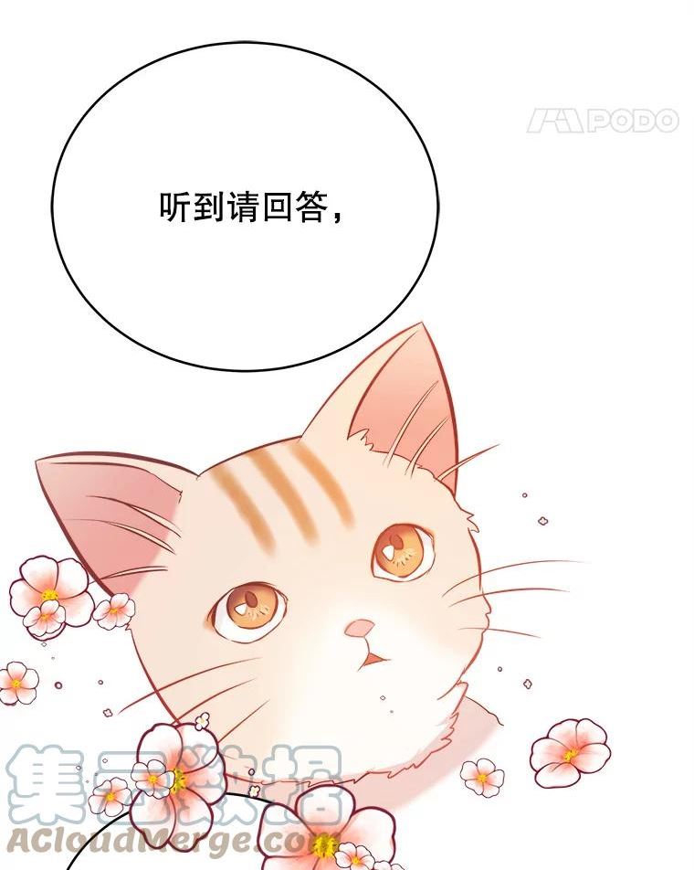 龙宝宝名字漫画,41.狩猎大会5图