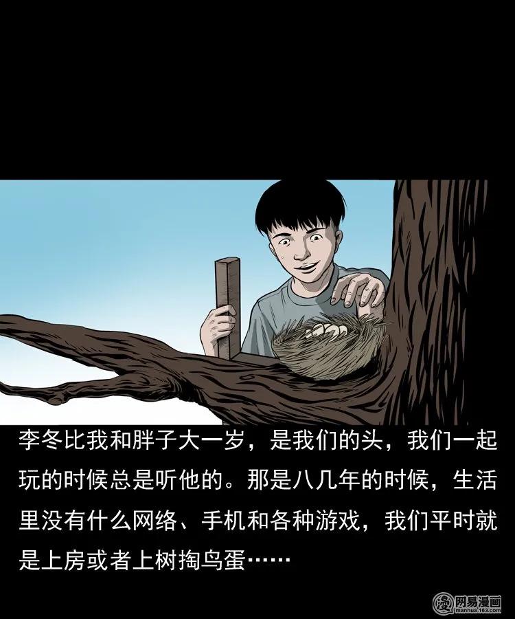 三老爷惊奇手札漫画完整版漫画,157 伙伴4图
