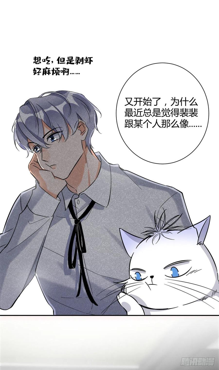 今天也要努力当只猫漫画免费阅读漫画,第28话 画你4图