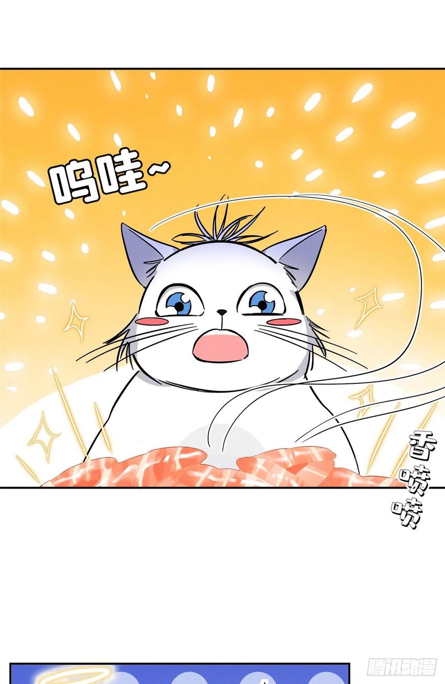 今天也要努力当只猫漫画免费阅读漫画,第28话 画你2图