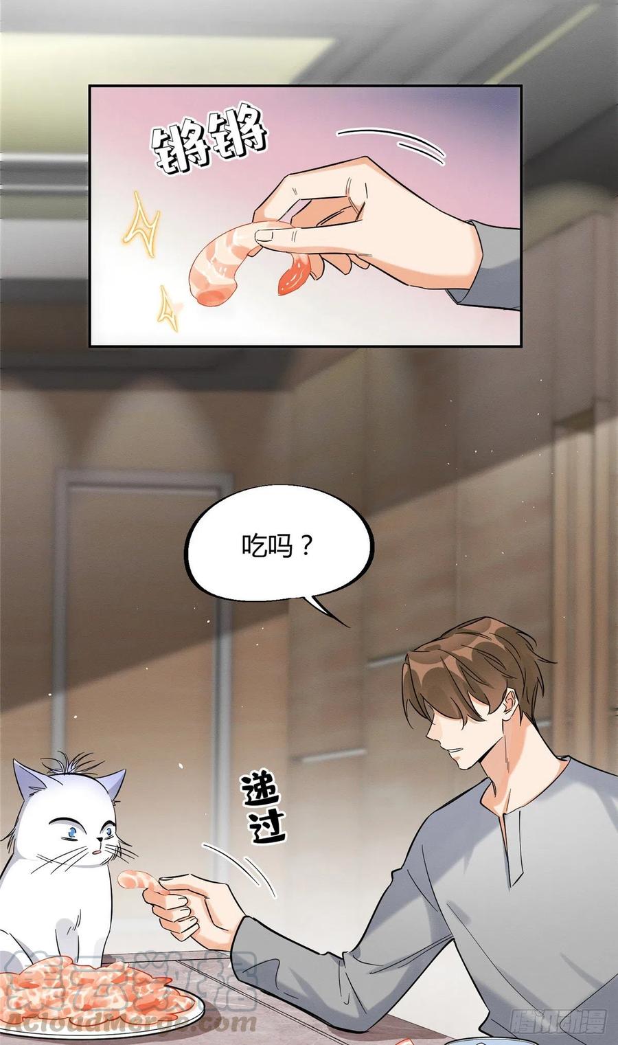 今天也要努力当只猫漫画免费阅读漫画,第28话 画你5图