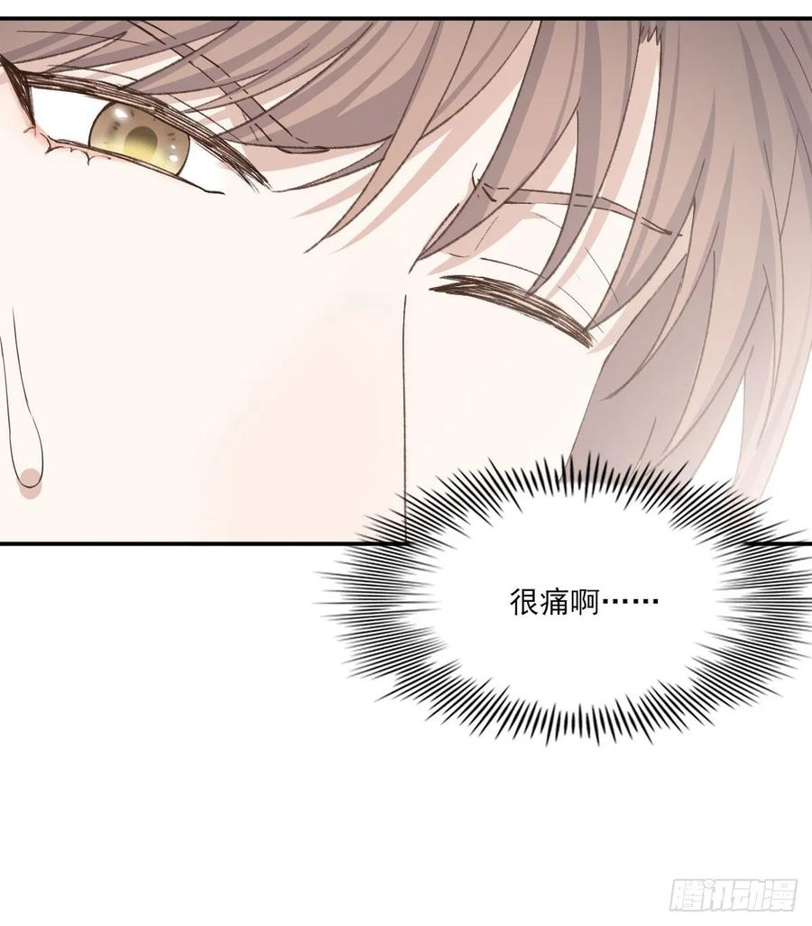 双王群工蜂能互通吗漫画,抓痕5图