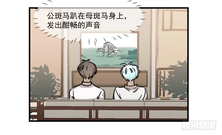 敖敖待捕漫画免费下拉式土豆漫画漫画,第十话 龙的本性4图