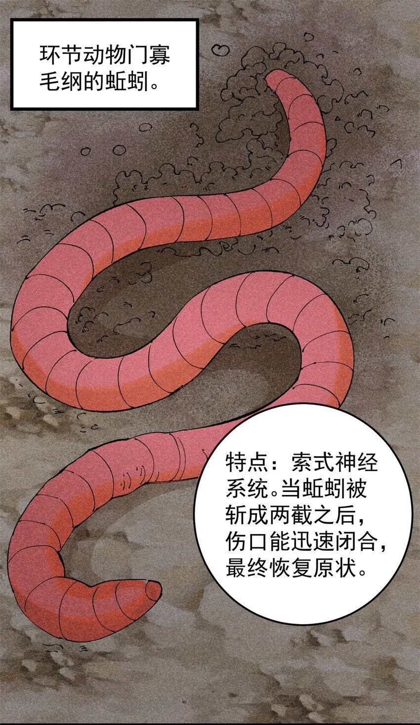 玩家凶猛小说全文免费阅读漫画,93 化身苏珊大妈3图