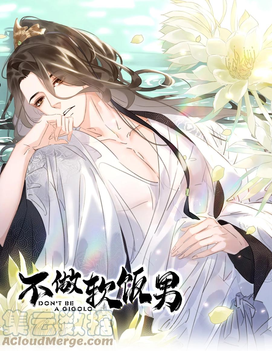 不做软饭男by碉堡堡全文免费阅读漫画,059 一个妙人1图