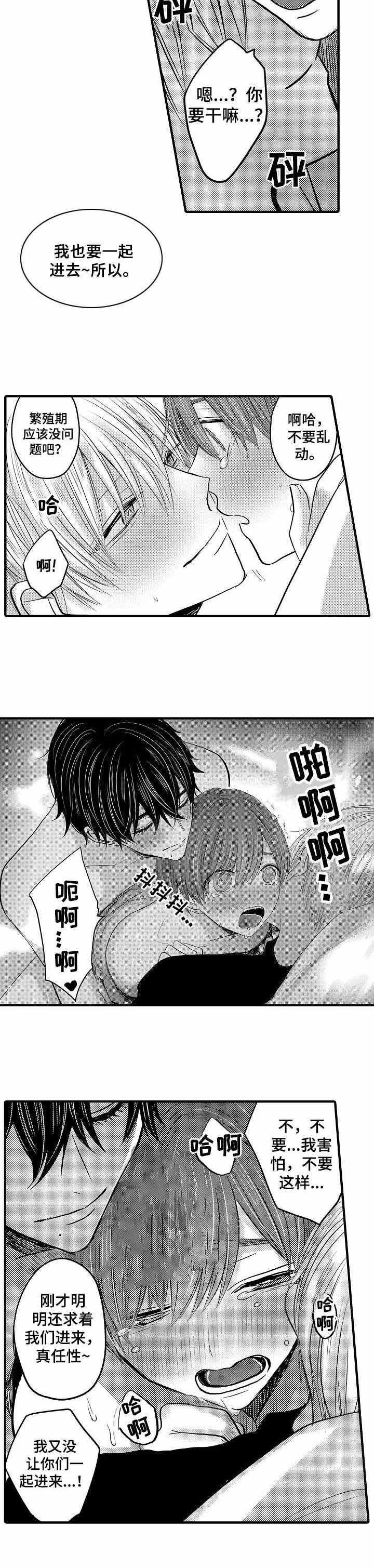 心跳信息素完整版漫画漫画,第50话4图