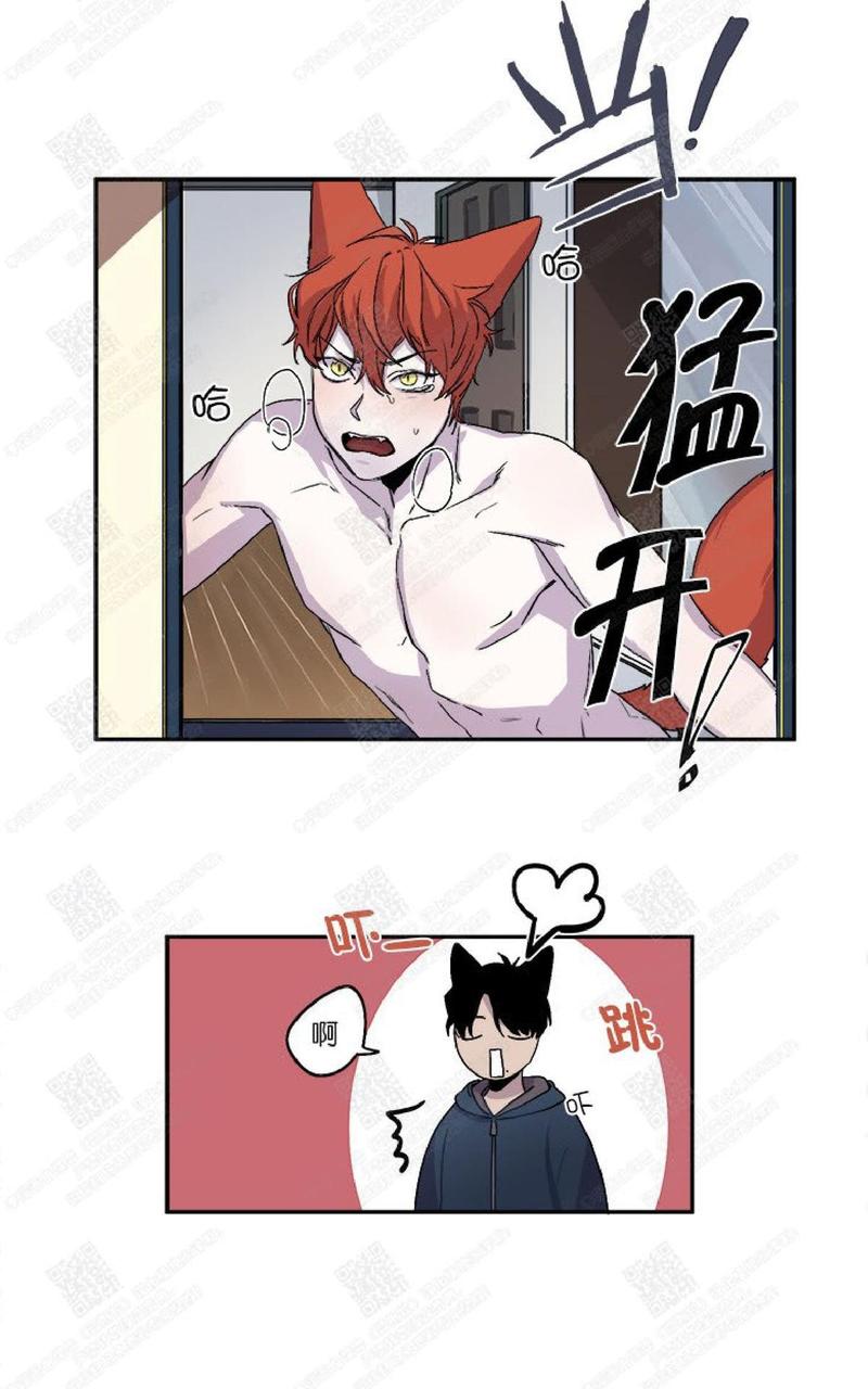 摇尾巴的猫动图漫画,第21话4图