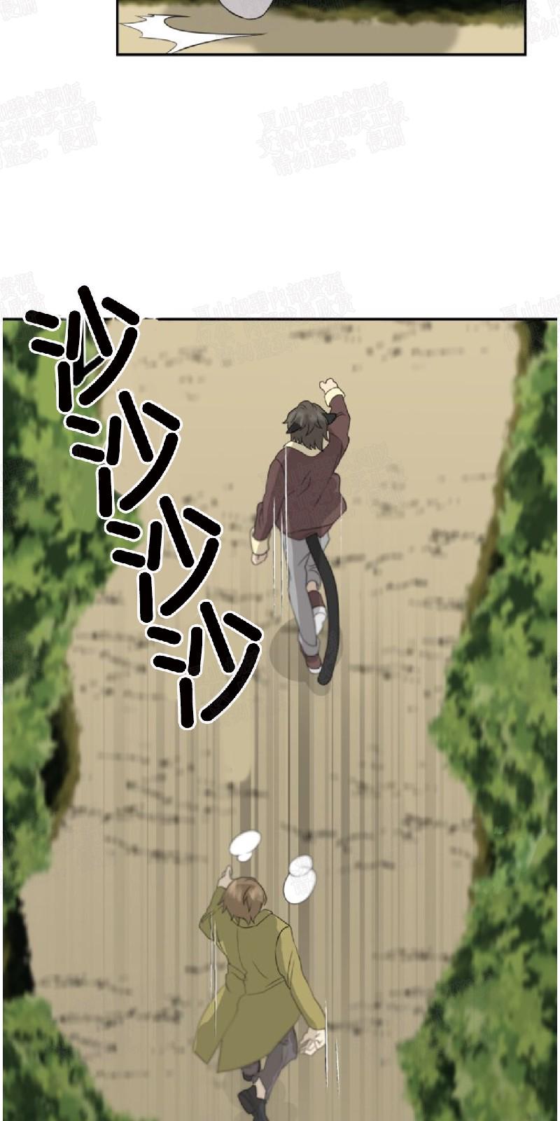 动物王国开大会是几年级的课文漫画,第14话2图