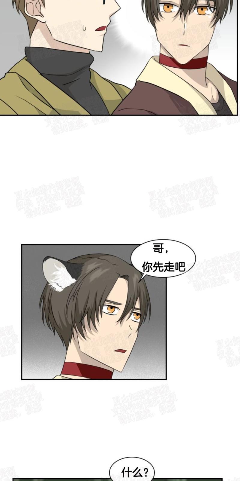 动物王国豆瓣漫画,第9话5图
