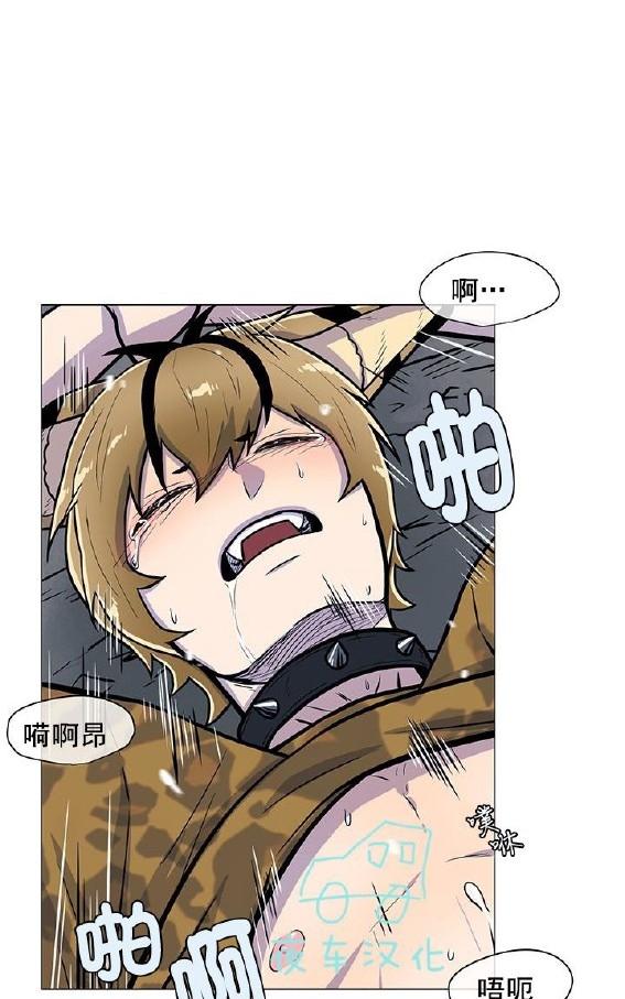 动物王国故事漫画,第4话5图