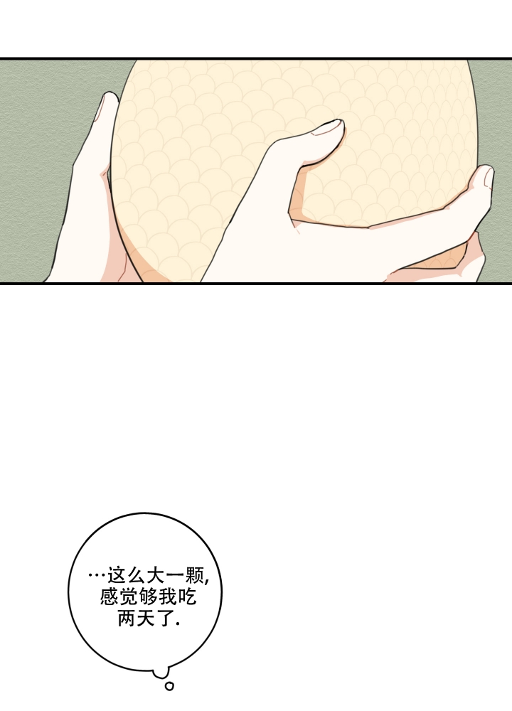 铺满金钟花的路去哪看漫画,第2话5图