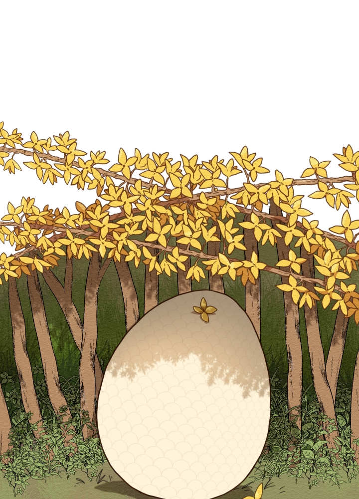 铺满金钟花的路去哪看漫画,第2话1图