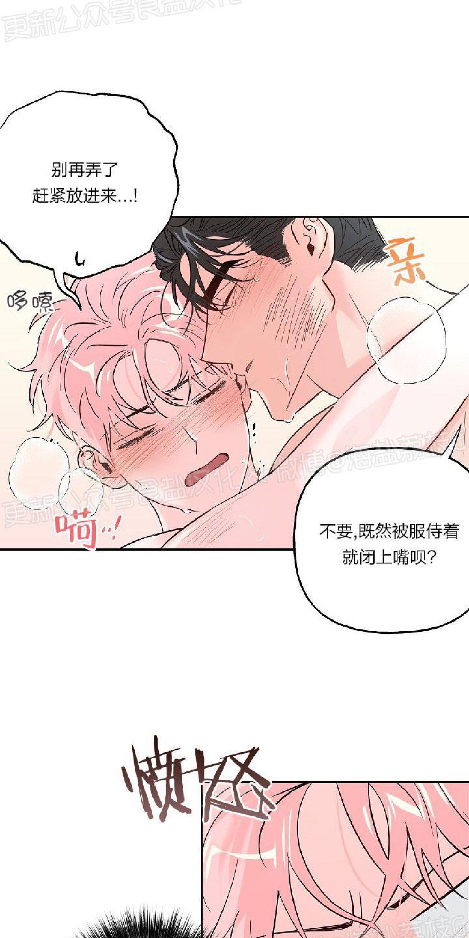 疯子套装组合漫画免费阅读漫画,第35话4图