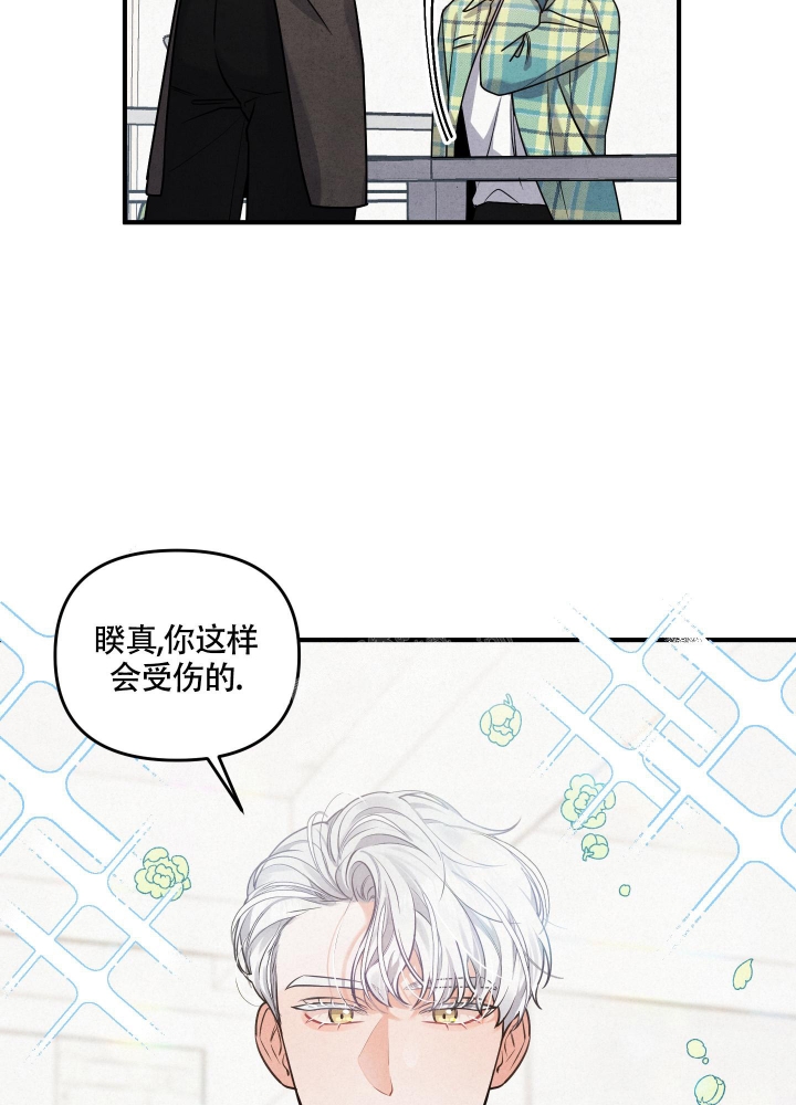 狗狗的寿命一般都多长漫画,第4话2图
