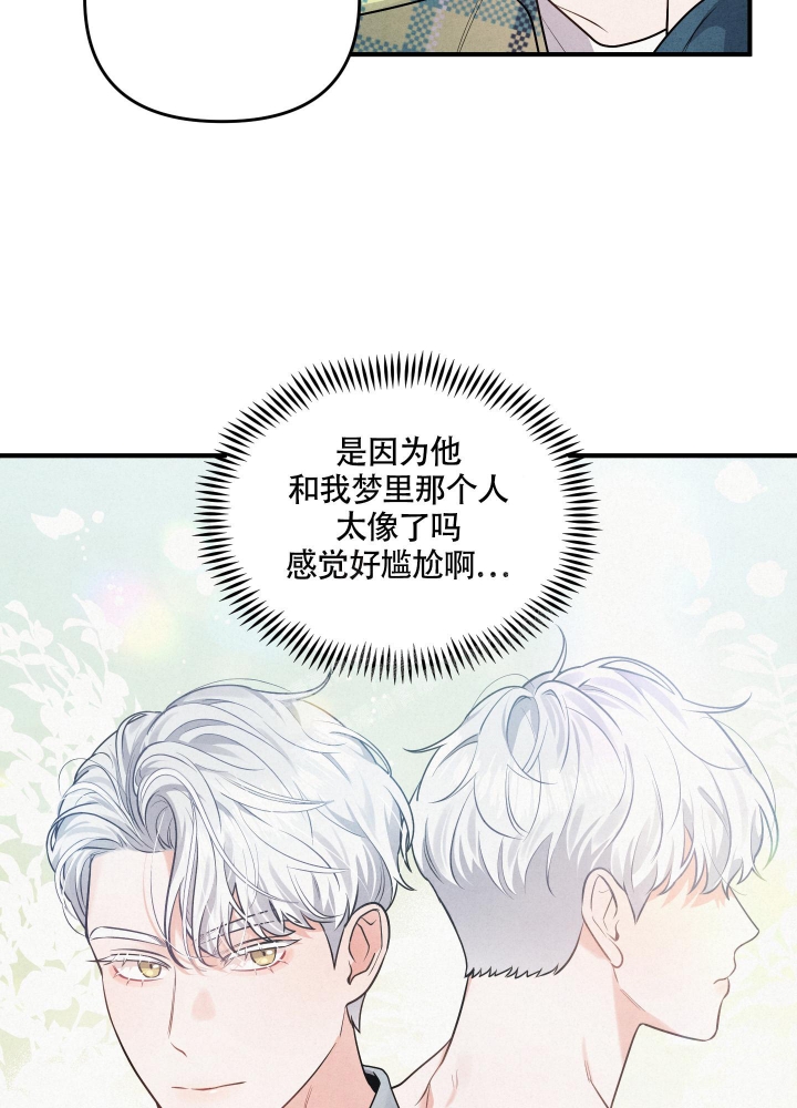 狗狗的寿命一般都多长漫画,第4话5图