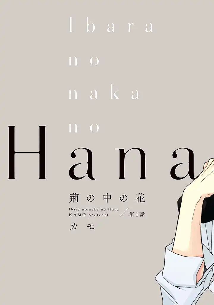 荆棘里的花是什么花漫画,第1.1话4图