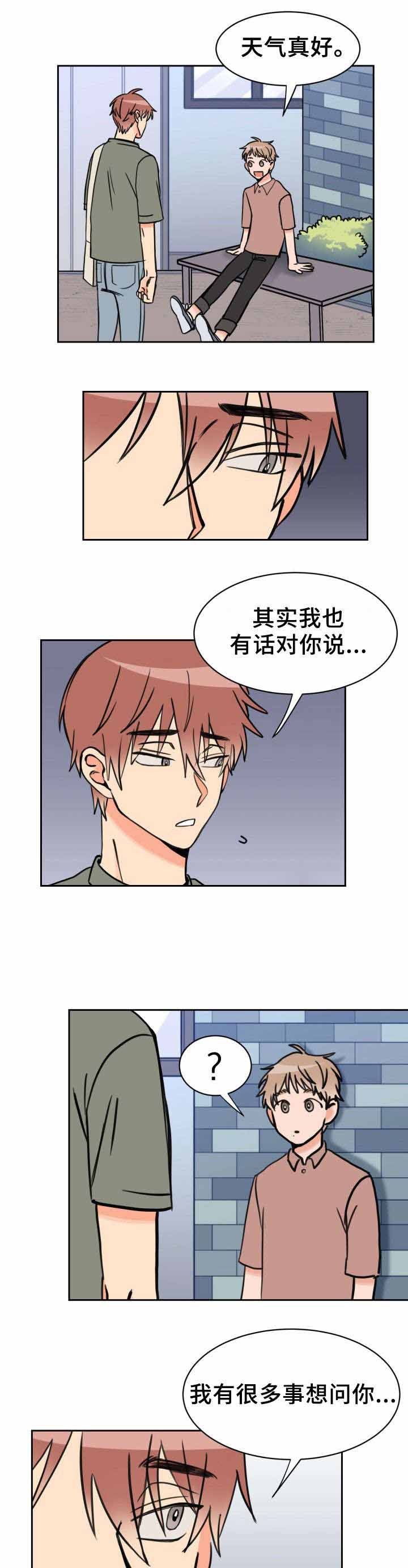 白月光他过分美丽by向阳而生林秋时顾景聿漫画,第37话3图