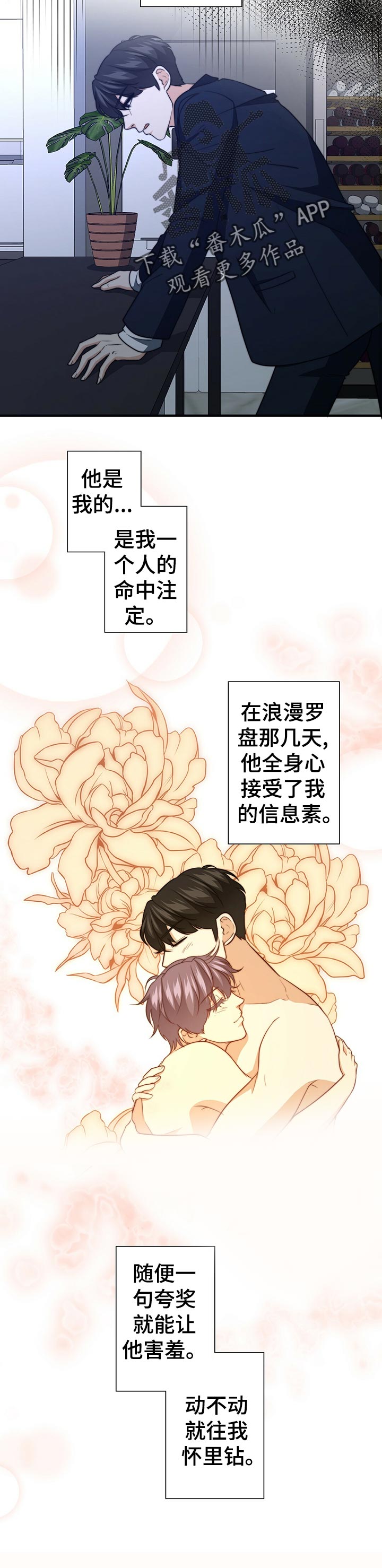 秘密配对全集漫画,第46章：证据3图