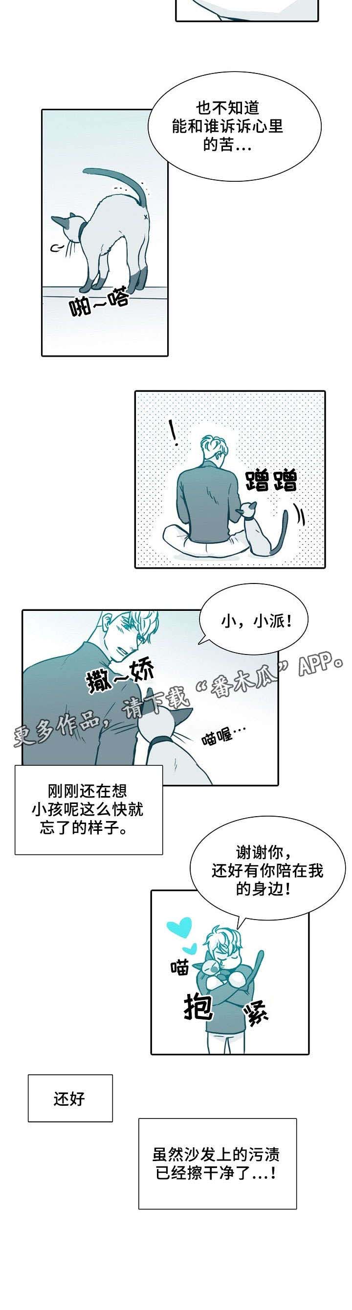 韩剧三十天漫画,第63章：抱歉5图