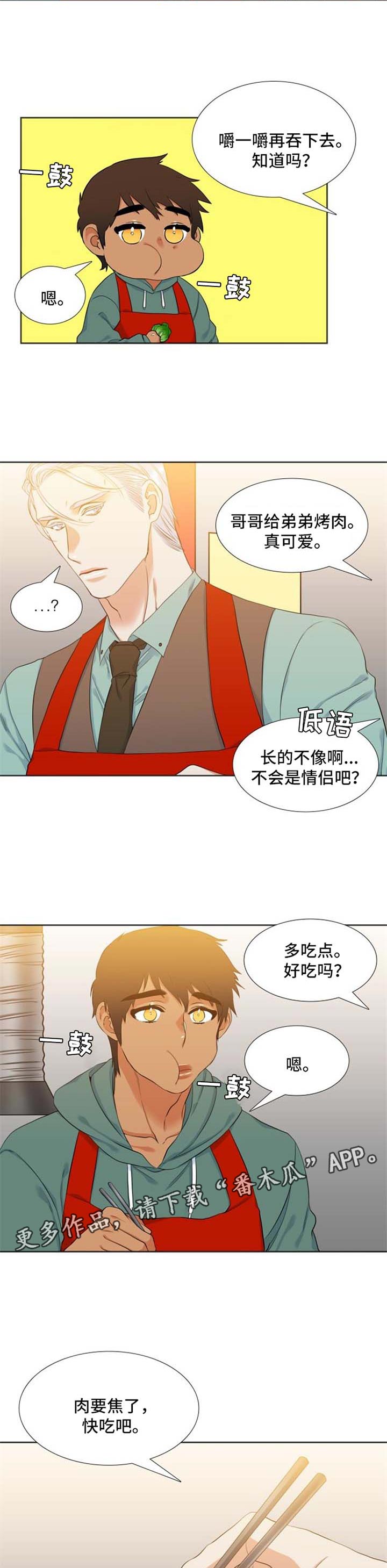 候鸟有哪几种鸟漫画,第42章：手机2图