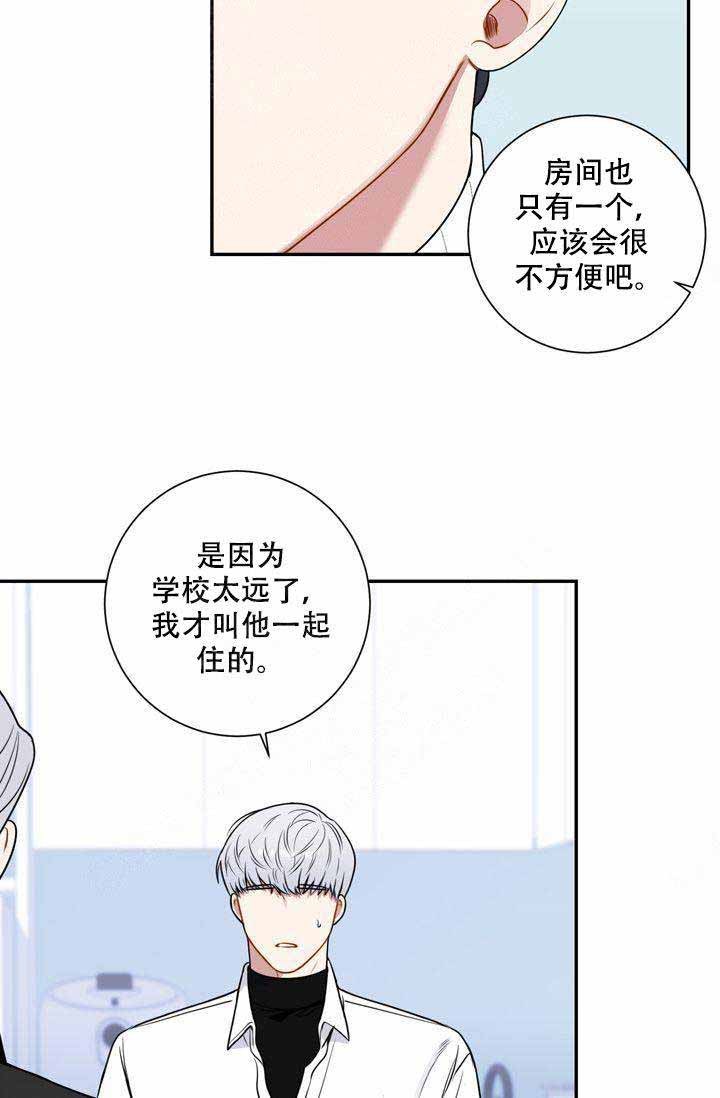 不过期的土豆漫画,第5话3图